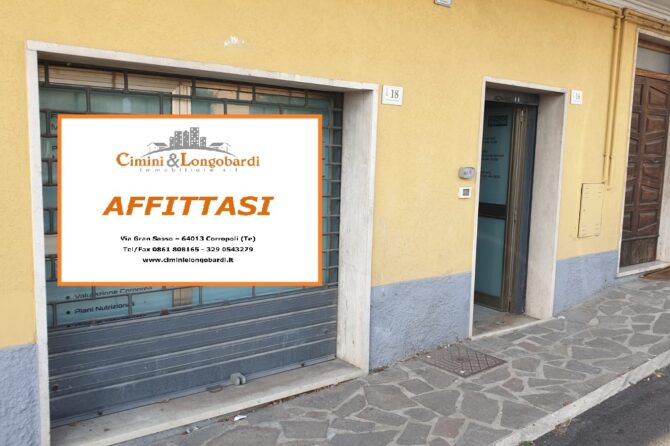 Locale di 30 mq in affitto